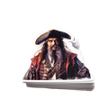 Pirate Stickers